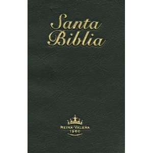 Biblia reina valera 1960 audio