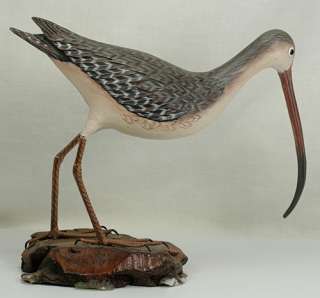   CARVED WOOD LONG BILLED CURLEW WATER BIRD FIGURINE ON DRIFTWOOD BASE