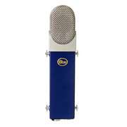 Blue Mic Blueberry Studio Cardioid Condenser Microphone  