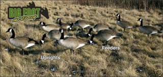 Bigfoot Canada Goose Decoys (4 pack) Uprights  