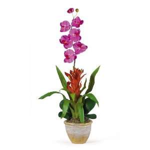  Single Star Bromeliad/Orchid Combo Silk Orchid Arrangement 