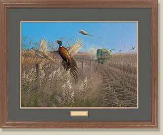 MICHEAL SIEVE FRAMED Pheasant print FLYING COLORS  