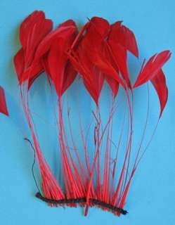 30 PCS. FANCY RED STRIPPED COQUE ROOSTER FEATHERS  