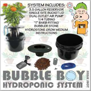  medium for plants to grow in when utilzing the DWC hydroponic methods