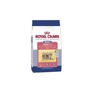  Royal Canin Maxi 32 Large Breed Puppy Food