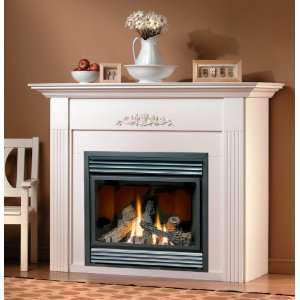   Fireplace with Black Door Natural Gas   Electronic