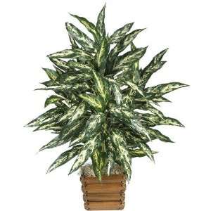    Nearly Natural 6009 Chinese Evergreen Silk Plant Electronics