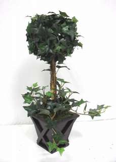 English Ivy Topiary Plant w/pot Wedding Decor  