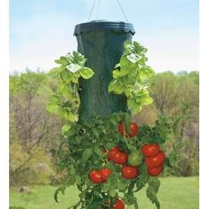  Upside Down Hanging Tomato Plus Planters, Set of 2 with 