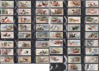 1927 Players Cigarette card set ~ Game Birds Wild Fowl  