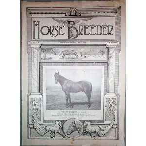  American Horse Breeder Vol. XL No. 18 May 3, 1922 
