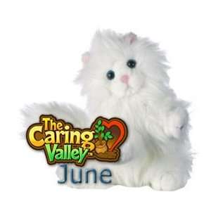  Webkinz Caring Valley Persian Plush Cat: Toys & Games