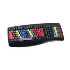   Keyboard to Teach Typing for all Ages   Win and Mac Toys & Games