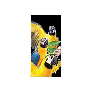 Macaws Tropical Birds Terry Velour Beach Bath Towel 